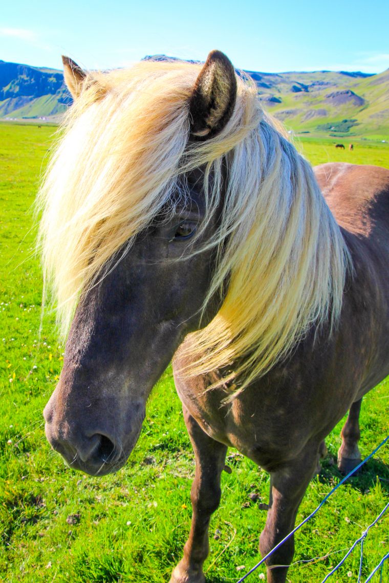 Western Fjords Iceland Mountain Roadtrip Scenery