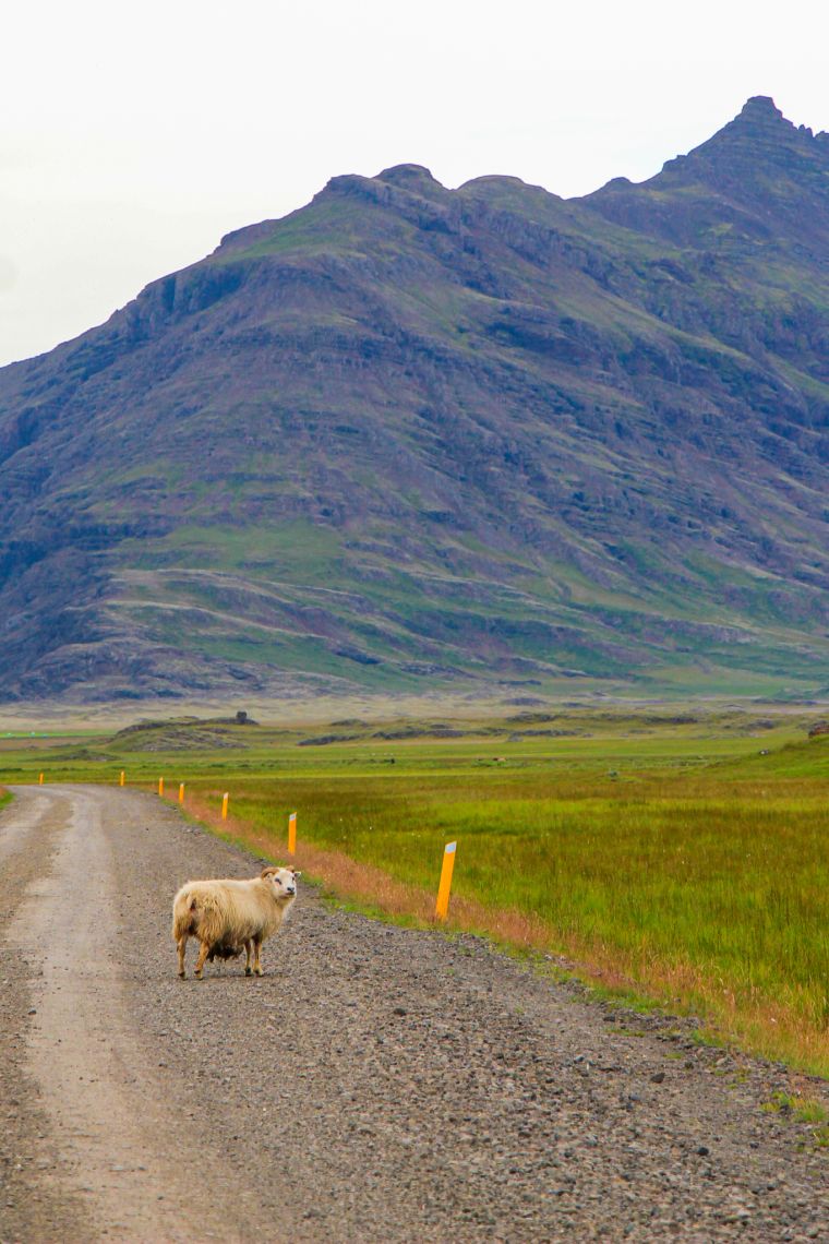 Western Fjords Iceland Mountain Roadtrip Scenery