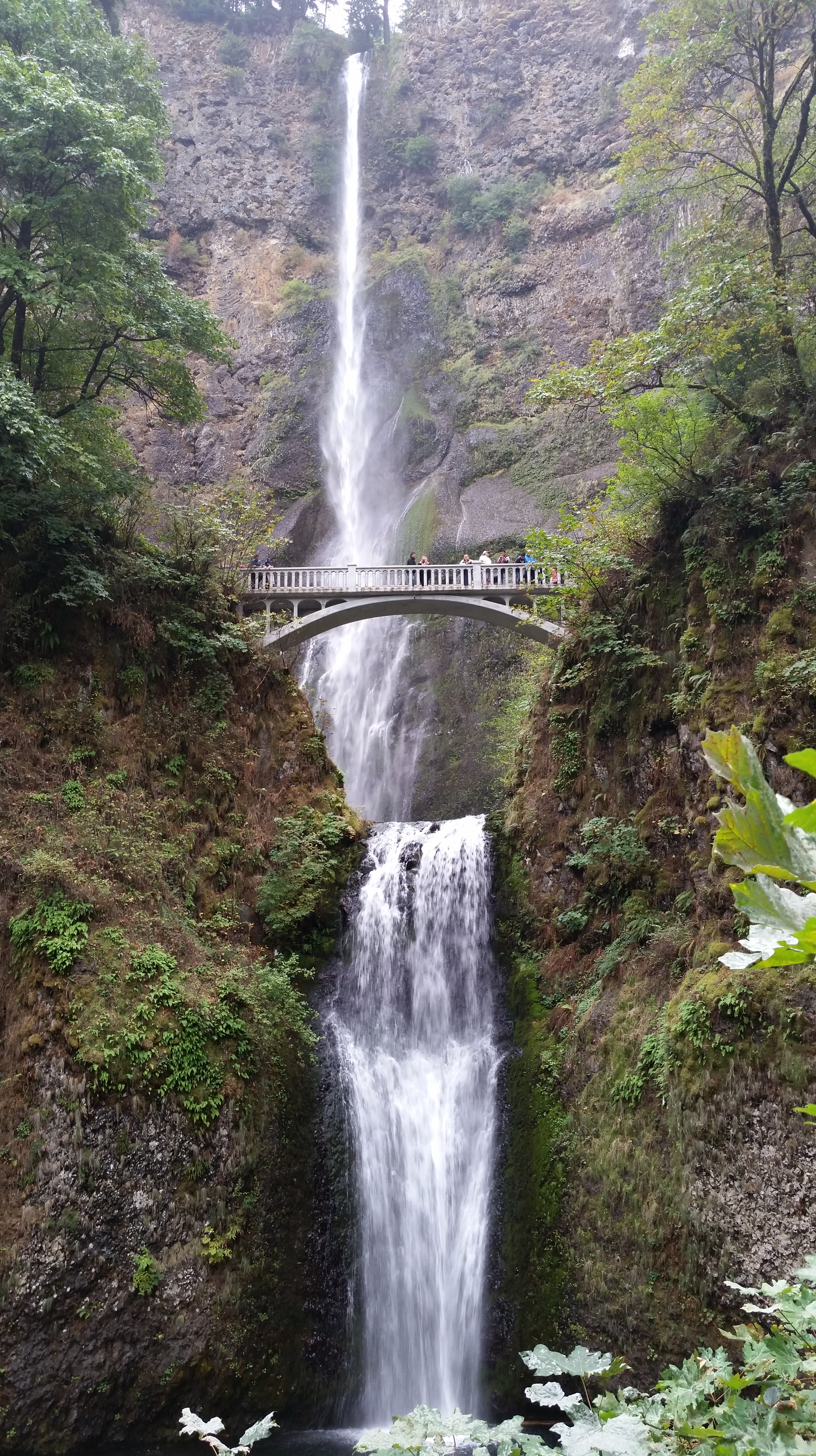 Multnomah Waterfalls Portland Oregon